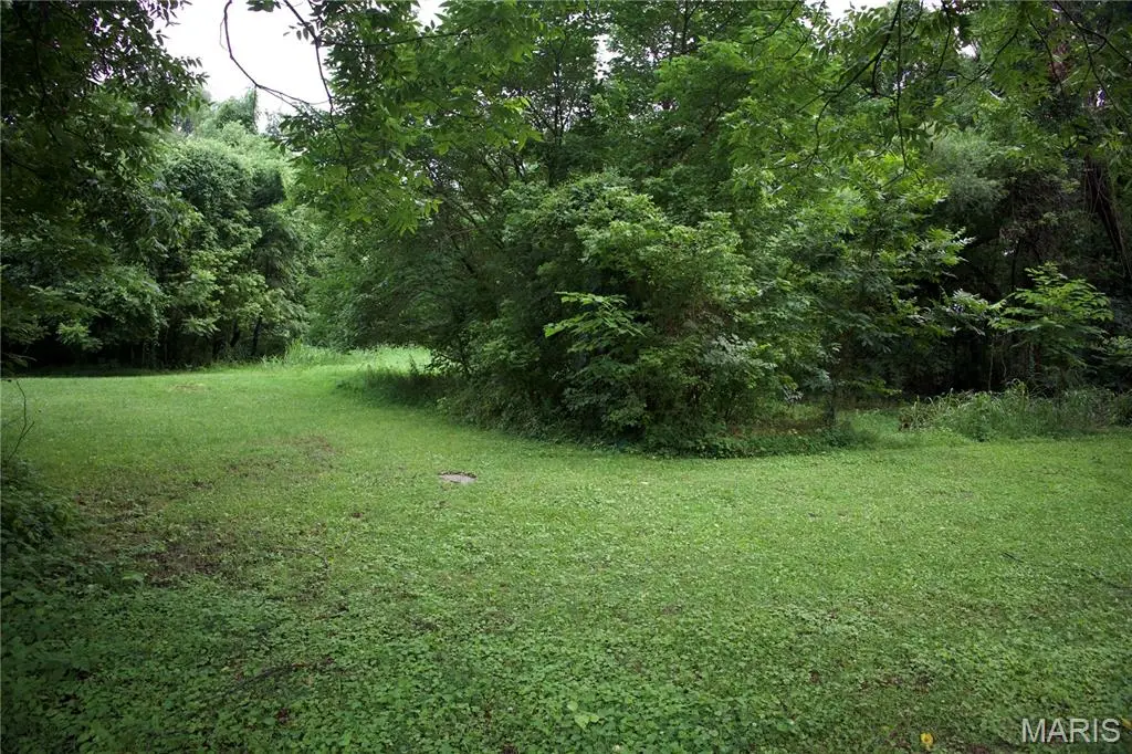 482 E Davidson, Chaffee, MO 63740 - #1