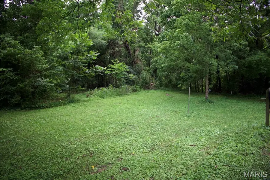 482 E Davidson, Chaffee, MO 63740 - #2