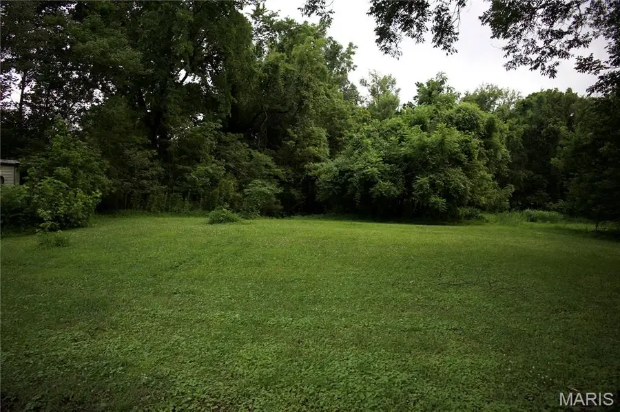 482 E Davidson, Chaffee, MO 63740 - #3