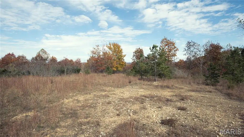 0 Highway 49 #Tract 9, Piedmont, MO 63957 - #1