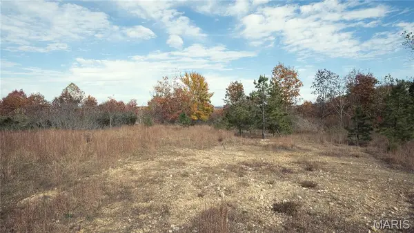 0 Highway 49 #Tract 5, Piedmont, MO 63957