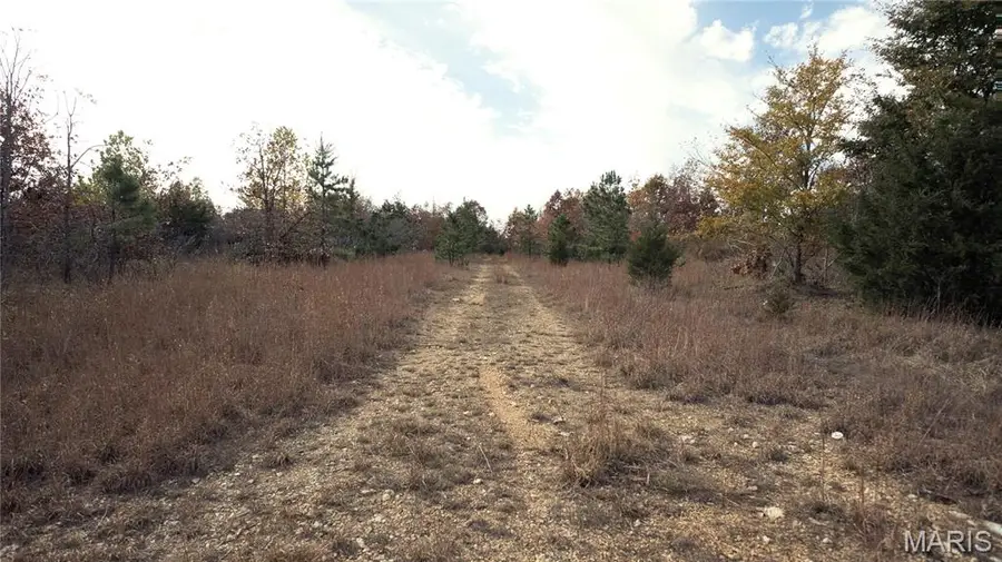 0 Highway 49 #Tract 5, Piedmont, MO 63957 - #2