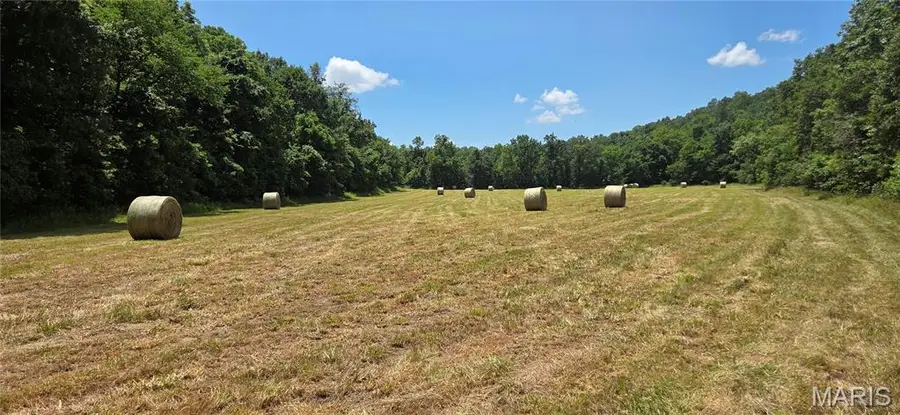 Address Withheld By Seller, Steelville, MO 65565 - #2