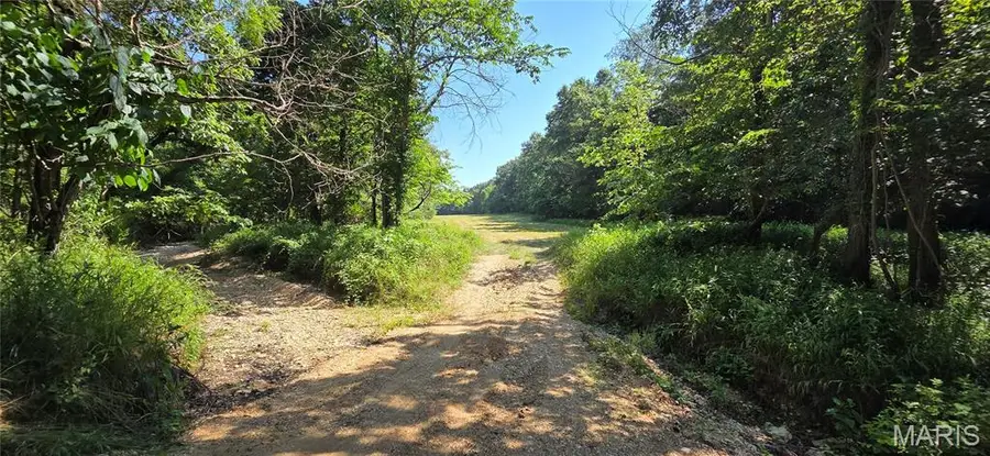 Address Withheld By Seller, Steelville, MO 65565 - #3