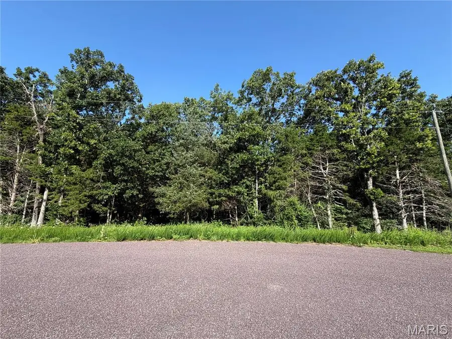 580 Cedar Lane, Sullivan, MO 63080 - #2