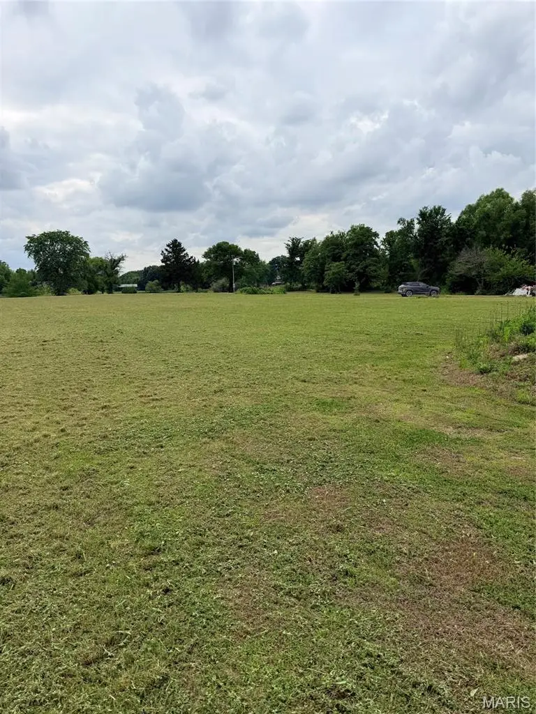 55224 Buffalo Lane, New London, MO 63459 - #2
