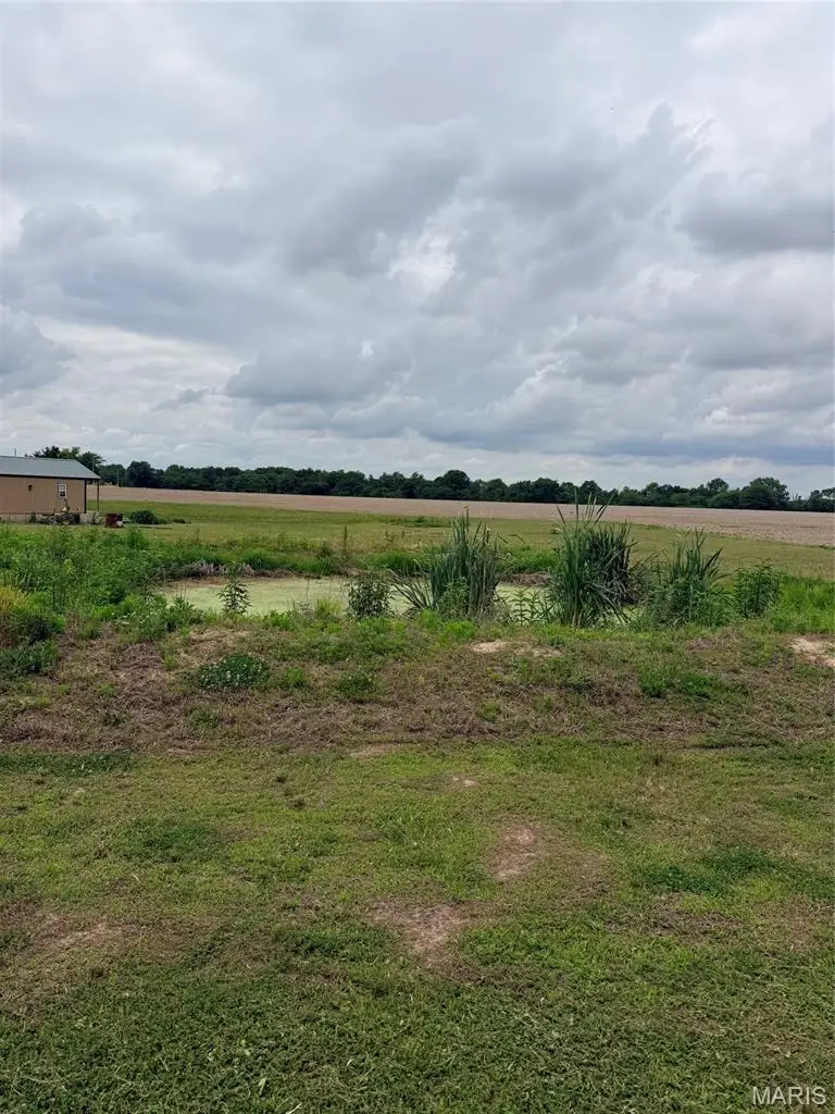 55224 Buffalo Lane, New London, MO 63459 - #3