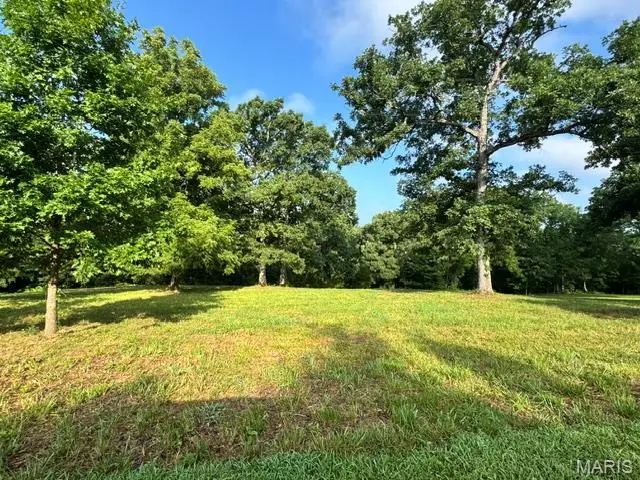 61 Saratoga Springs Drive, Silex, MO 63377 - #1