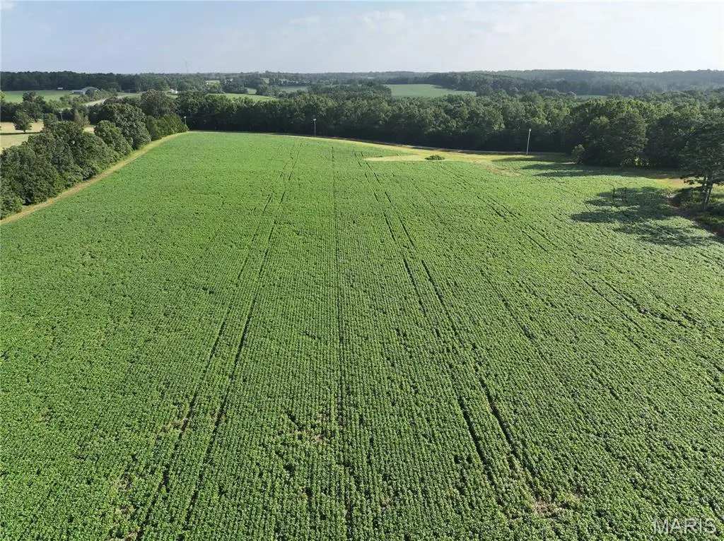 29259 State Highway O, Marquand, MO 63655 - #1