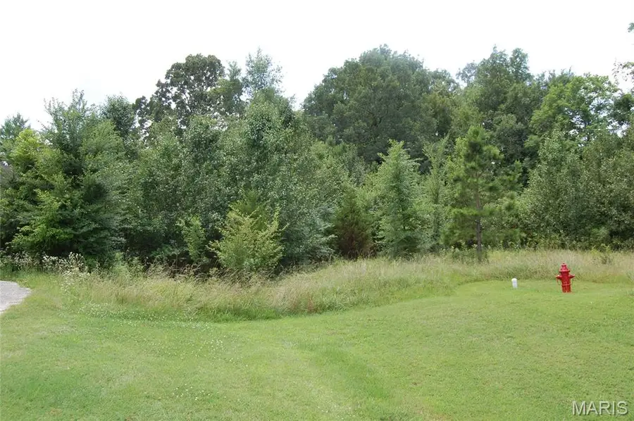 Lot 3 Greenbriar Drive, Poplar Bluff, MO 63901 - #2