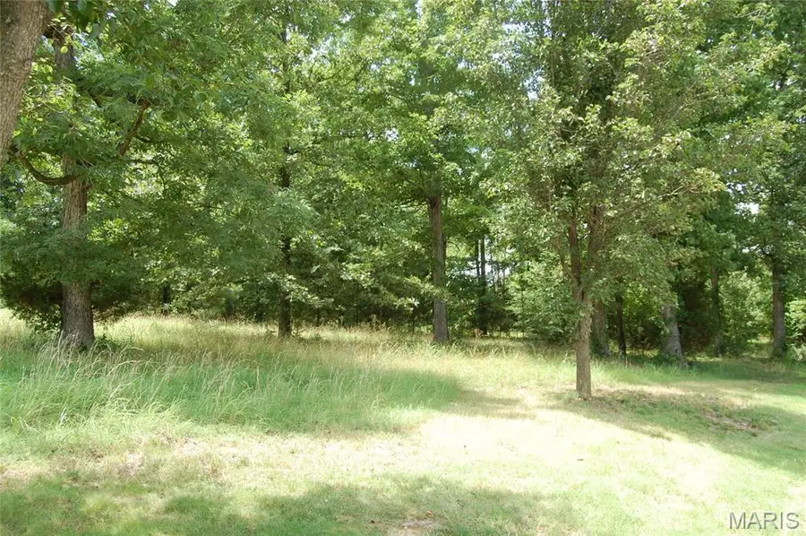 Lot 3 Greenbriar Drive, Poplar Bluff, MO 63901 - #3