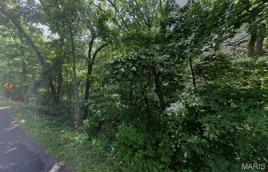 7725 Tower Road, Hillsboro, MO 63050 - #2