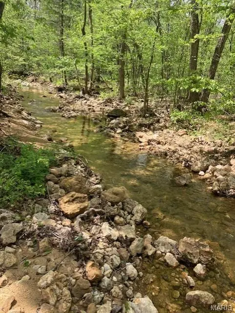 247 Madison Cr 410, Fredericktown, MO 63645 - #2