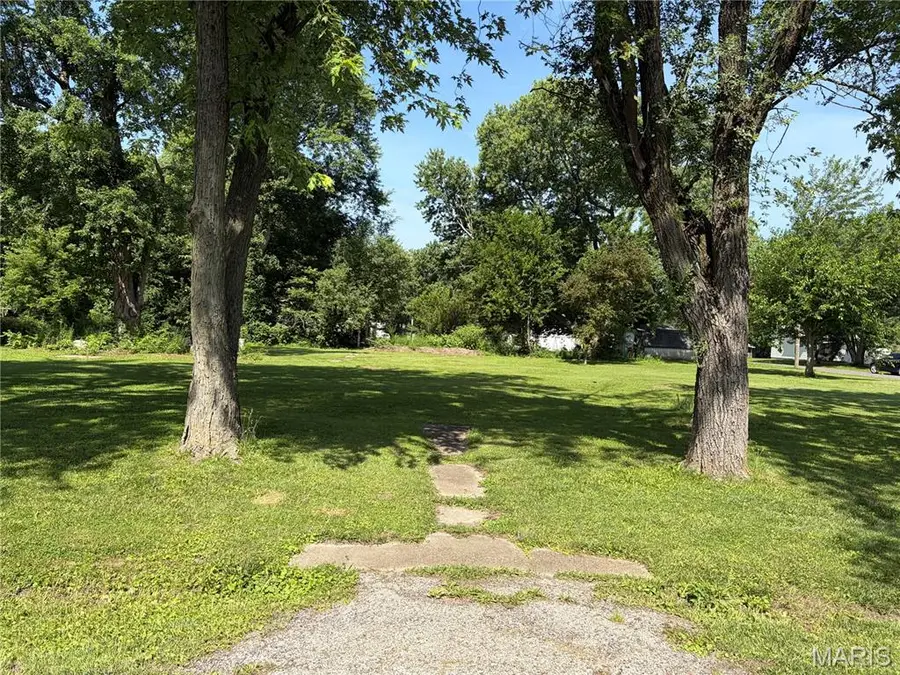 1005 S Montgomery Avenue, Litchfield, IL 62056 - #2