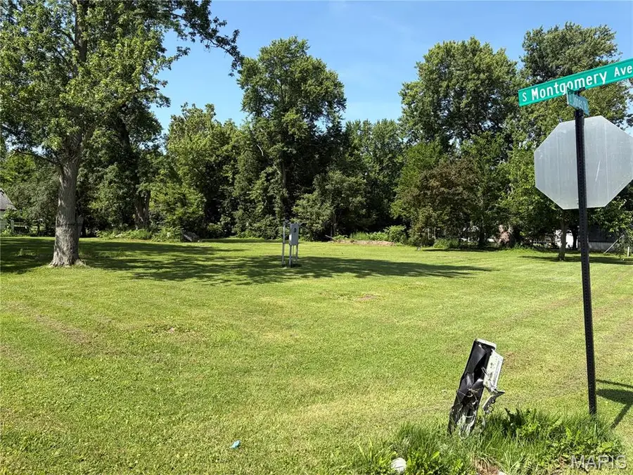1005 S Montgomery Avenue, Litchfield, IL 62056 - #3