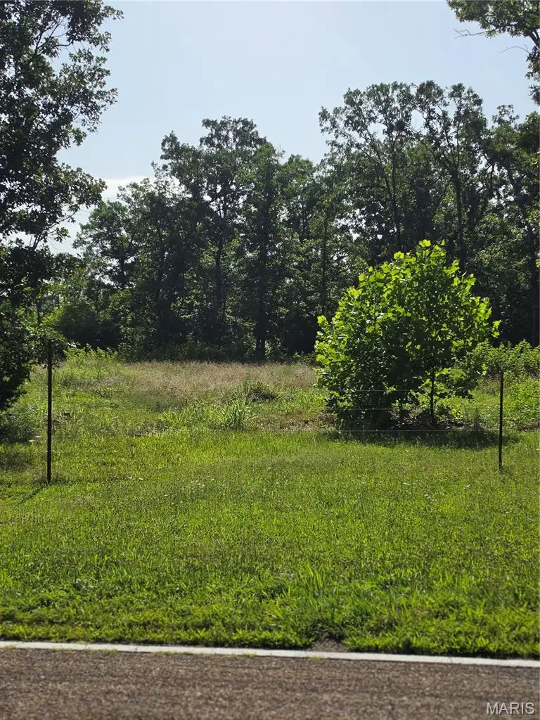 11526 Highway 5, Grovespring, MO 65662 - #3