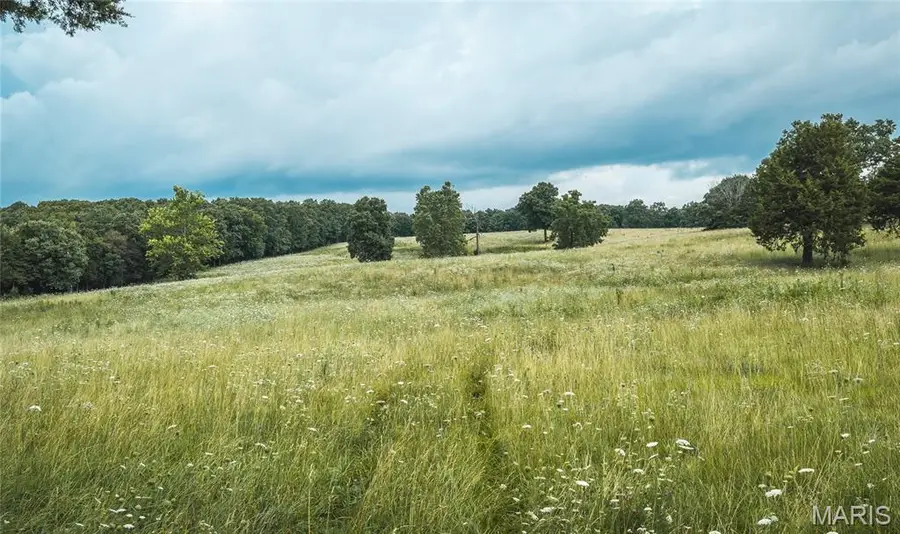 000 County Road 628, Dixon, MO 65459 - #2