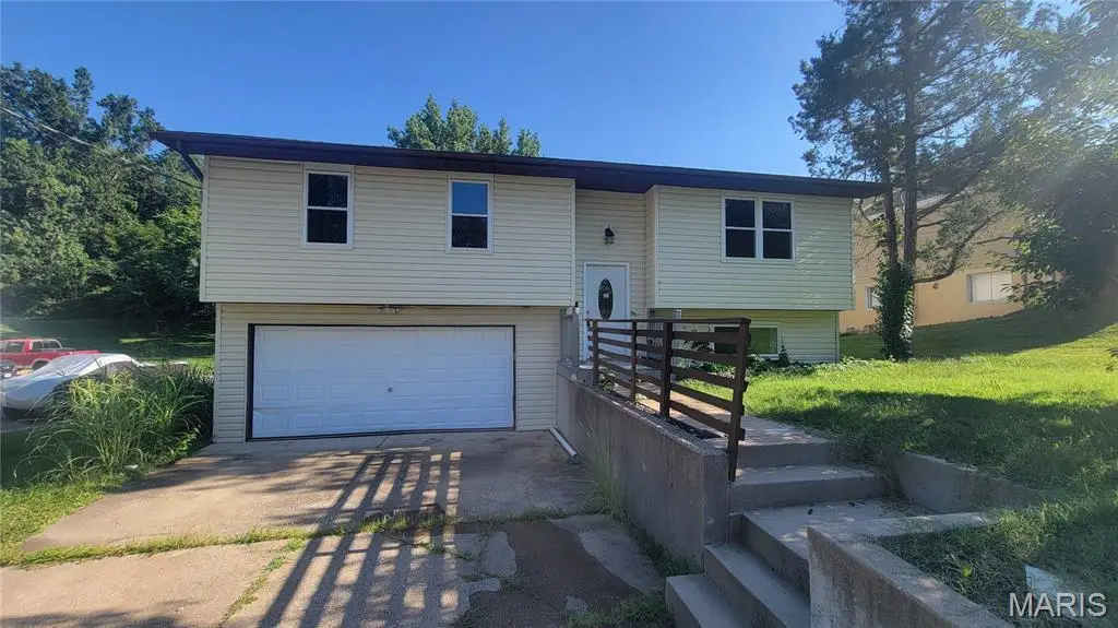 712 Tanglewood Acres, Festus, MO 63028 - #1