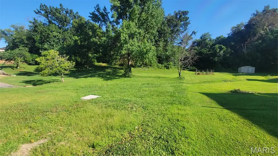 712 Tanglewood Acres, Festus, MO 63028 - #2