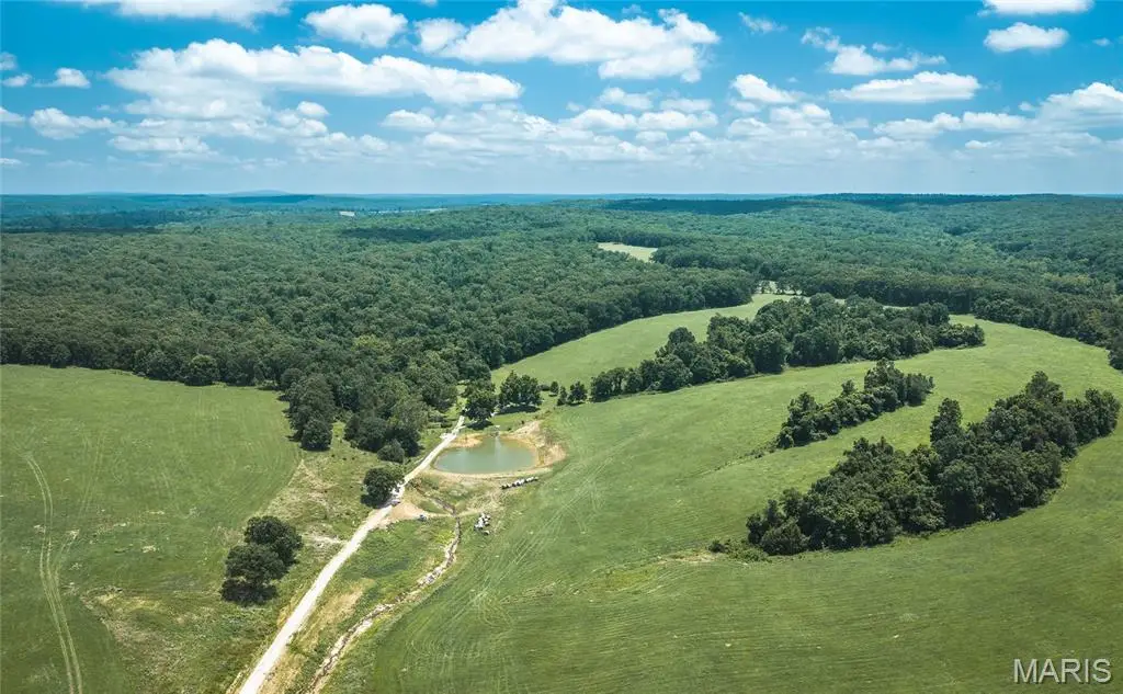 171 Czar Tower Road, Steelville, MO 65565 - #1