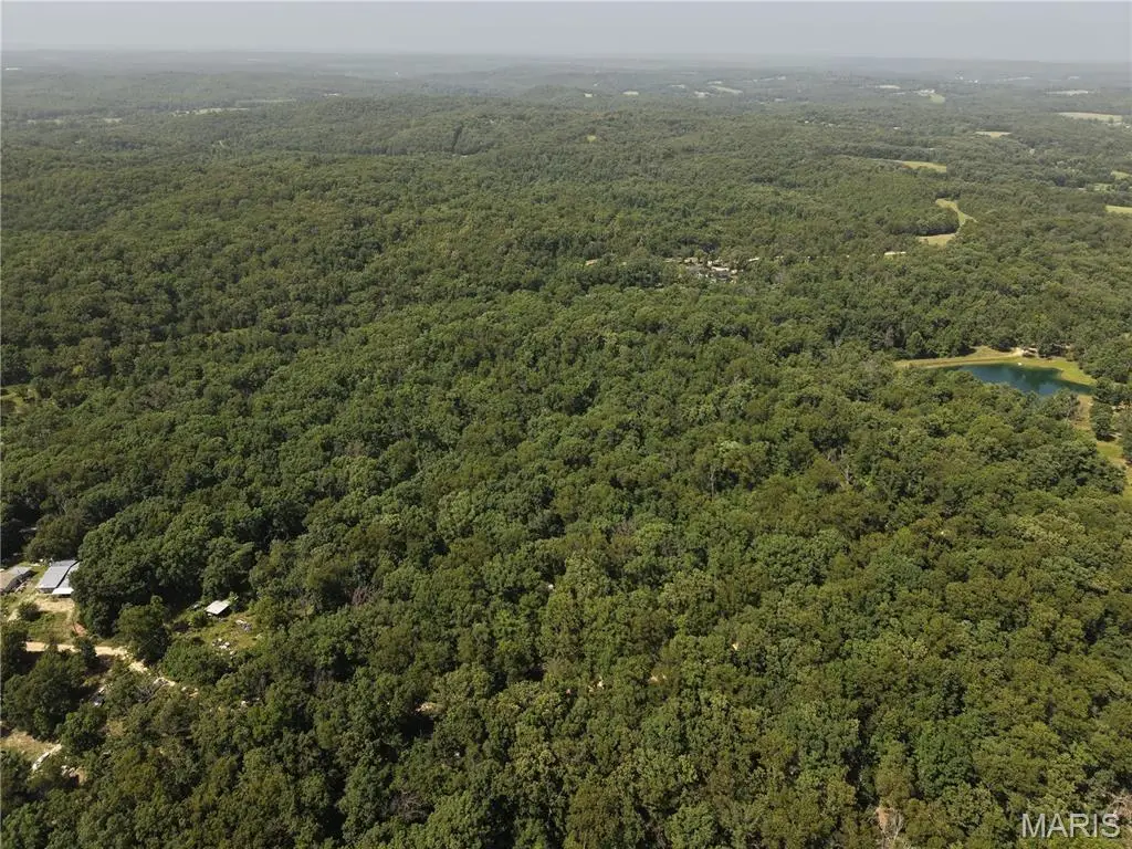 000 Gibson Rd., Lonedell, MO 63060 - #1