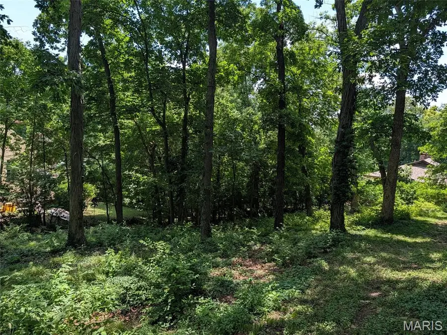 41 Oak Forest Drive, Saint Charles, MO 63303 - #3