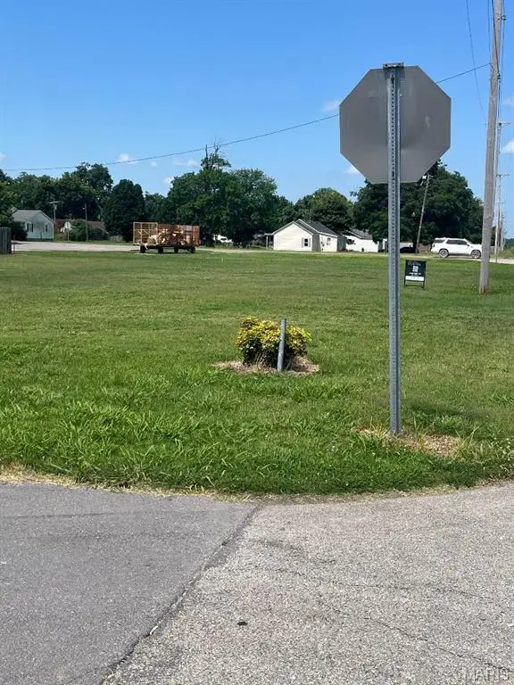 1700 Carroll Street, Caruthersville, MO 63830 - #3