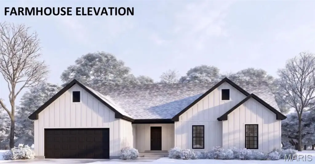 631 Hailie Street, Saint Libory, IL 62282 - #1