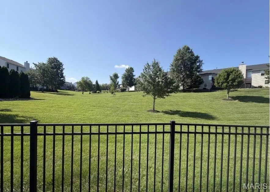226 Charging Bear Drive, Wentzville, MO 63385 - #3