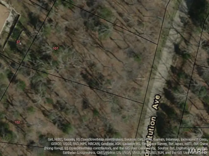101 Costitution (plat 6 Lot 101) Avenue, De Soto, MO 63020 - #2