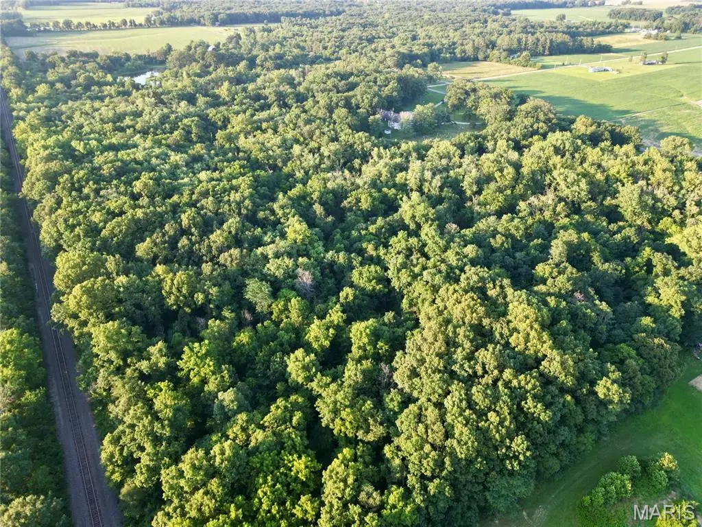 00 County Farm Road, Kell, IL 62853 - #1