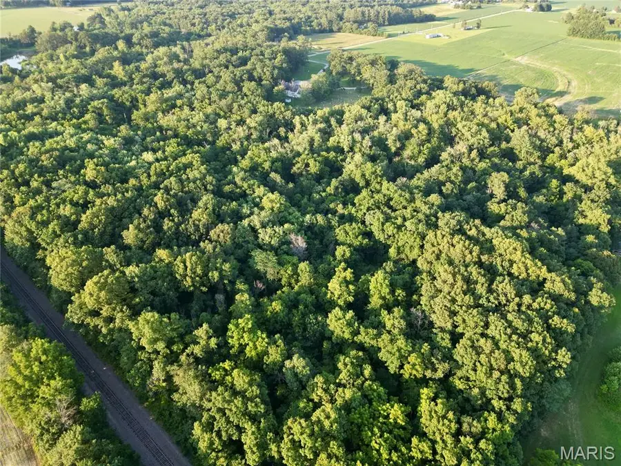 00 County Farm Road, Kell, IL 62853 - #3