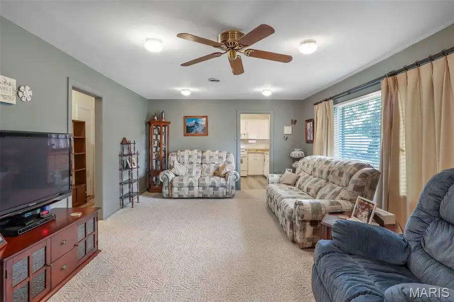 411 Parkin Street, Fredericktown, MO 63645 - #3