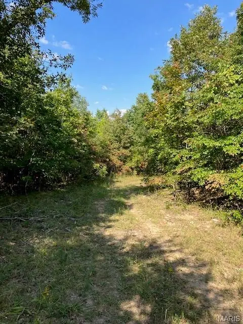 21 Church Road (cr 114), Annapolis, MO 63620 - #3