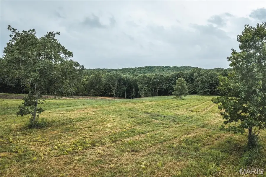 0 Lot 2 Highway 19, Salem, MO 65560 - #2