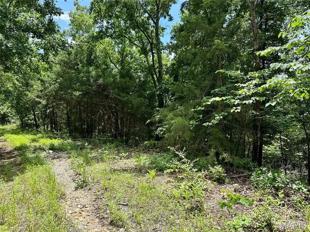 TBD Bluebird Lane, Rolla, MO 65401 - #1
