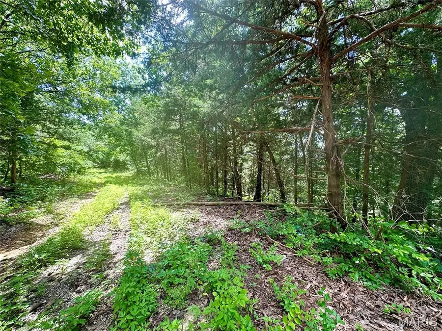 TBD Bluebird Lane, Rolla, MO 65401 - #2