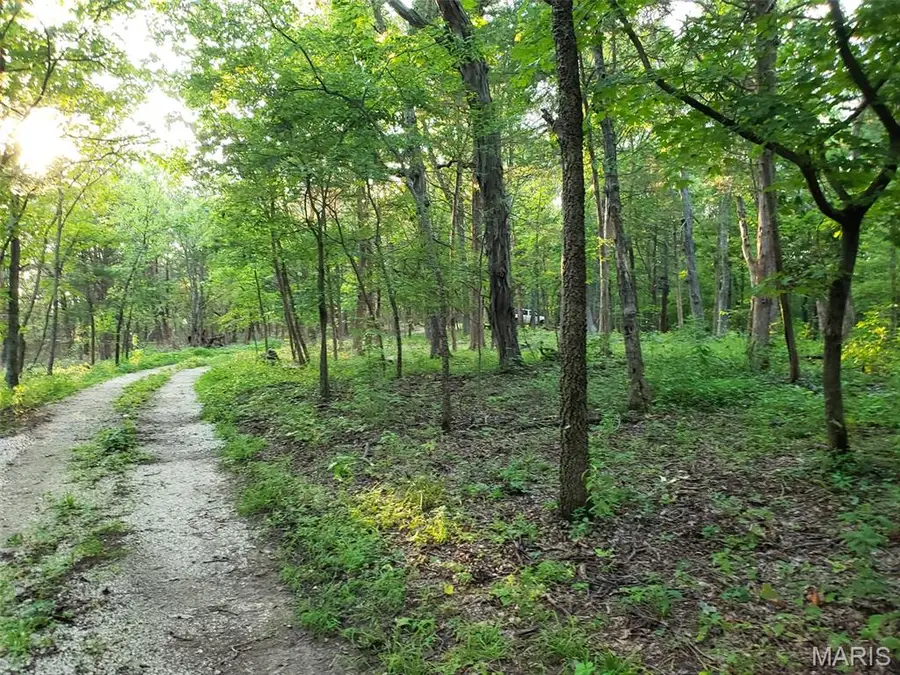 6969 Twin River Road, Eureka, MO 63025 - #3