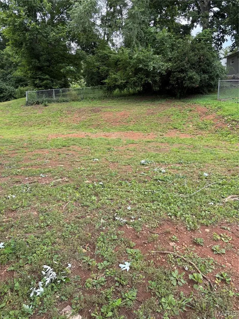 315 Iris Street, Piedmont, MO 63957 - #2