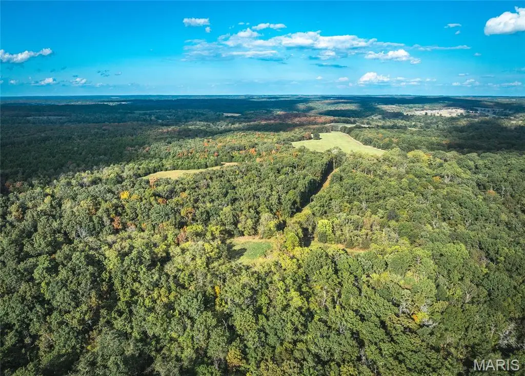 TBD S Davis Hollow Rd-tract B, Richland, MO 65556 - #1