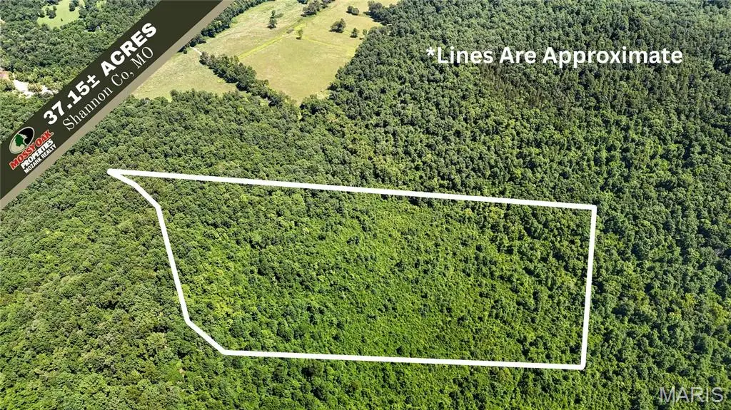 TBD Antler Ridge Subdivision, Carroll, MO 63629 - #1