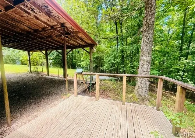 88 Rochester Lane, Wappapello, MO 63966 - #2