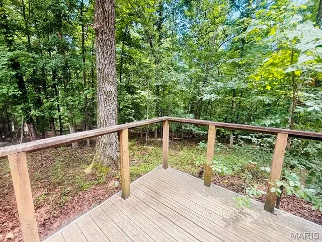 88 Rochester Lane, Wappapello, MO 63966 - #3