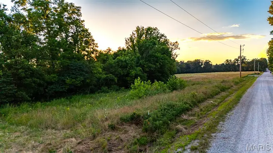 376 Stealey Road, Wentzville, MO 63385 - #2