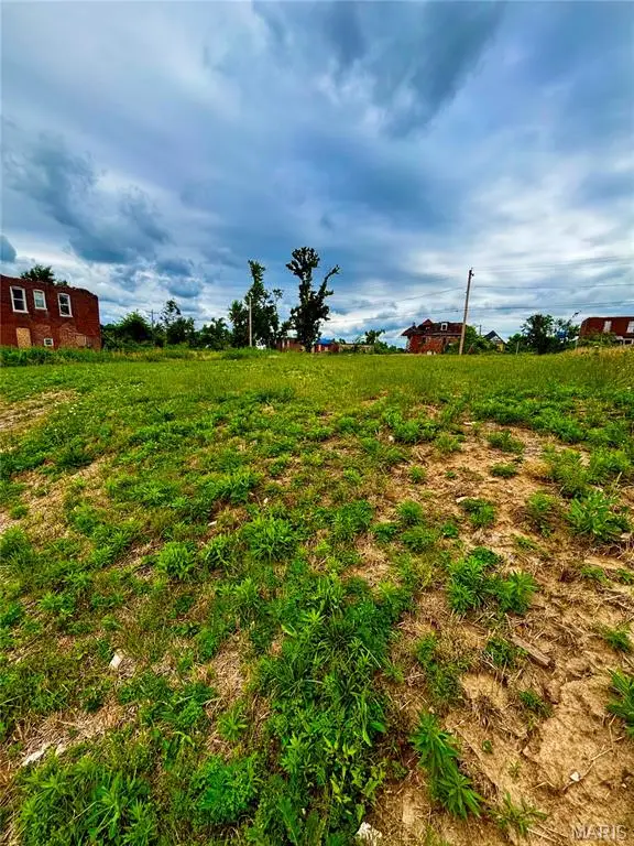 4547 St Louis Avenue, Saint Louis, MO 63115 - #2