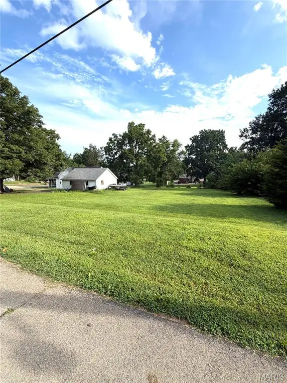 811 Andrews Street, Fredericktown, MO 63645 - #3