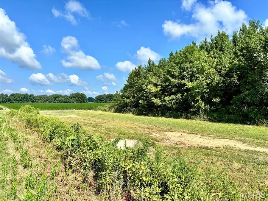 631 County Road 614, Broseley, MO 63932 - #2