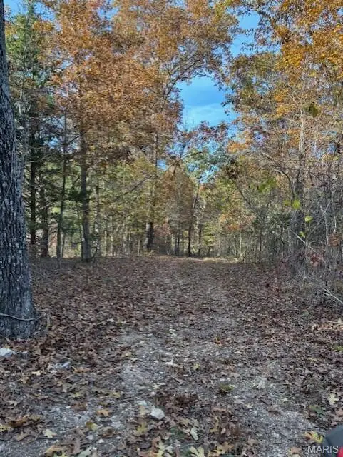 0 M- Country Road 272, Vanzant, MO 65768 - #3