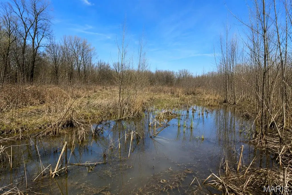 0 State Highway 53, Campbell, MO 63933 - #1