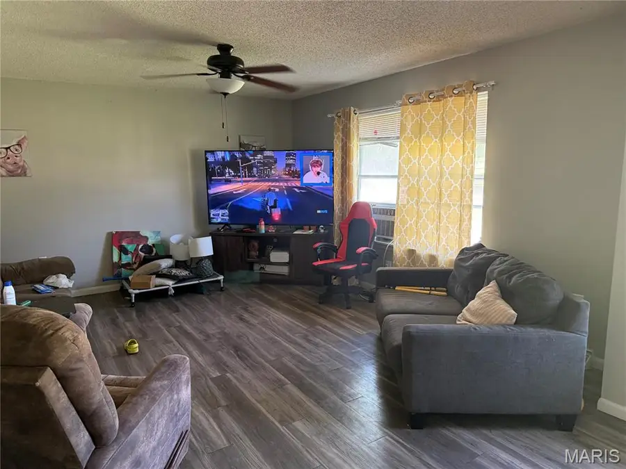 602 N Louise Avenue, Saint James, MO 65559 - #3